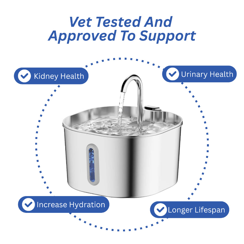 Protect your cat from dehydration and urinary emergencies with the Ninemore DNA Fountain