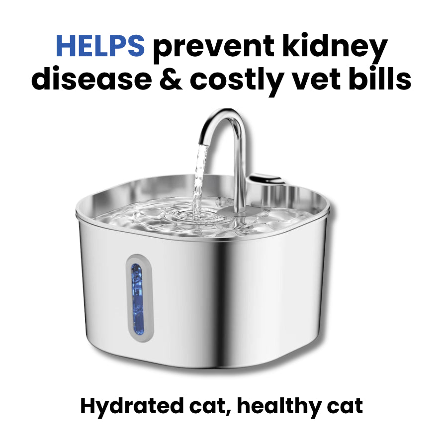 Protect your cat from dehydration and urinary emergencies with the Ninemore DNA Fountain