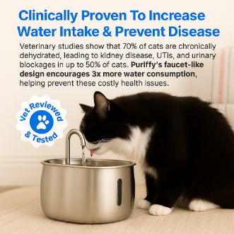 Protect your cat from dehydration and urinary emergencies with the Ninemore DNA Fountain